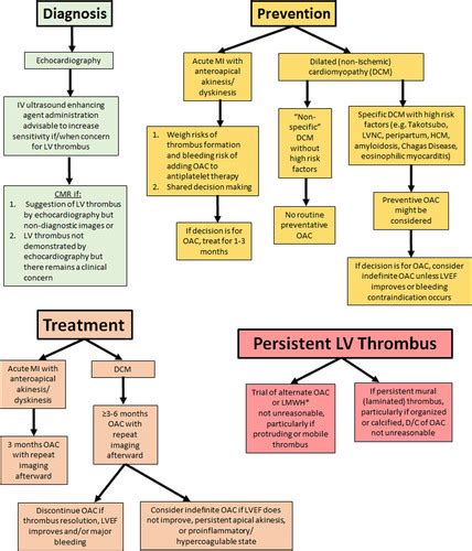 lv thrombus medical term|Lv thrombus treatment guidelines nhs.